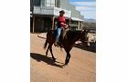 Riding Activities