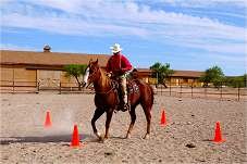 Learning how to ride the western style. Riding Lessons