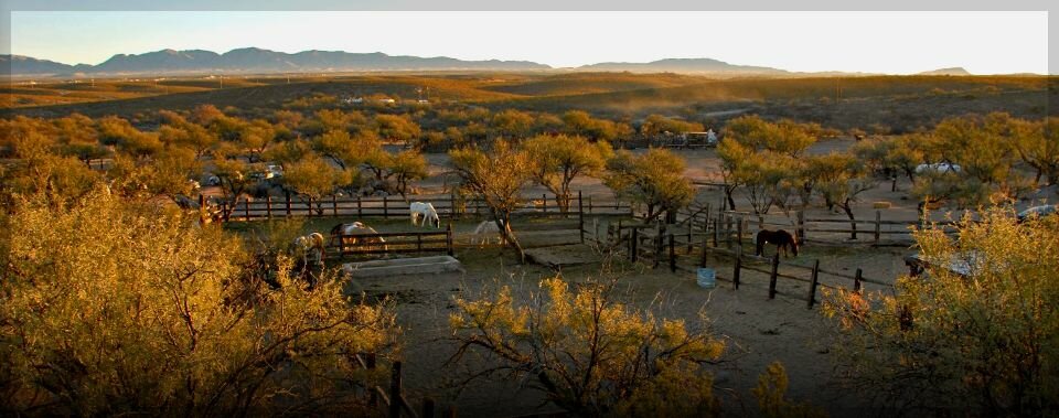 Home